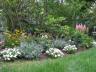 The garden in July