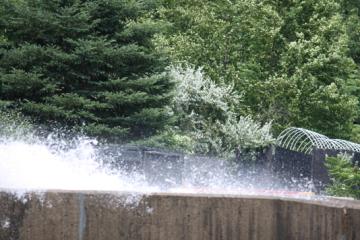 Splaaaash...