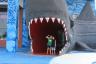 Into the mouth of the shark