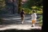 A stroll in Rockerfeller Park