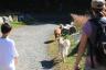 Yodie sees another dog