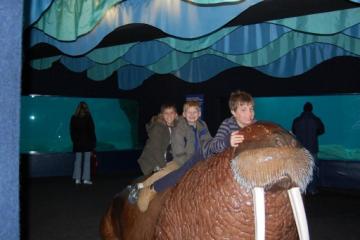 11-30 NY Aquarium 003