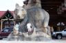 The Great Wolf Lodge - Mason Ohio