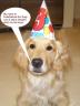 Dakota's Birthday