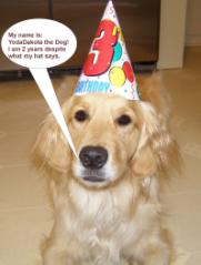 Dakota's Birthday
