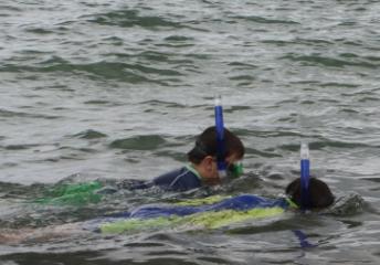 Snorkeling
