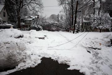 Downed lines and trees