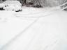 Downed lines