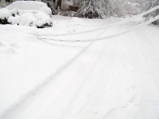 Downed lines