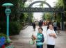 Dinoland - Animal Kingdom