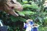 Jurassic Park at Universal