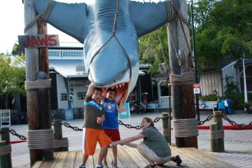 Jaws