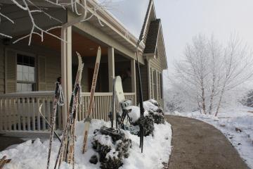 Skis lined up