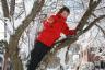 Robert climbs a tree