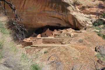 Mesa Verde