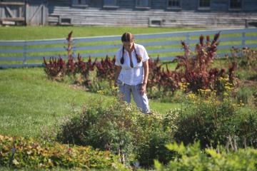 Nancy in vegetable garden