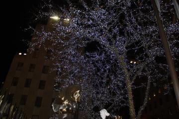 Christmas in NYC