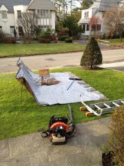 Vacuuming the front lawn