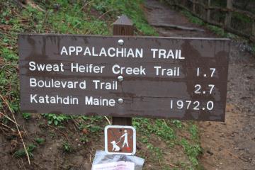 The appalachian trail