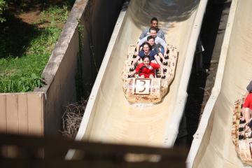 Log Flume